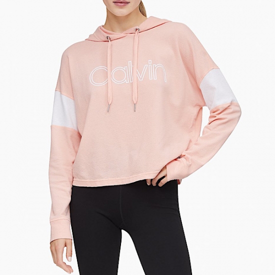 Performance Colorblock Outline Logo Hoodie