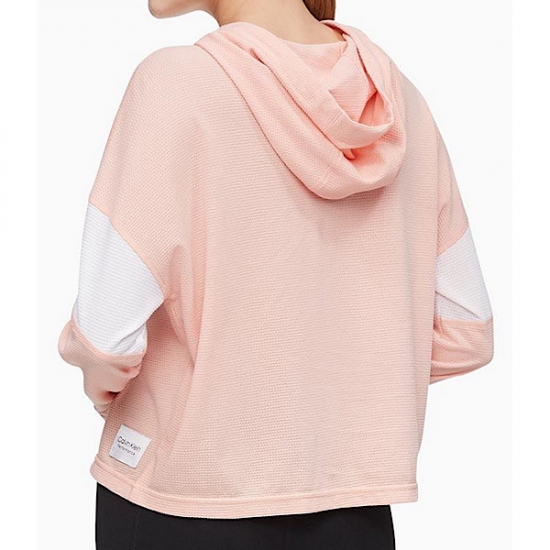 Performance Colorblock Outline Logo Hoodie