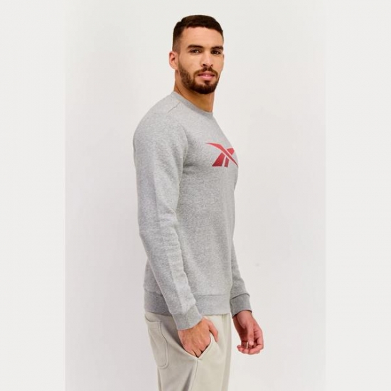 Reebok Men Sportswear Fit Brand Logo Long Sleeves Sweatshirt, Grey