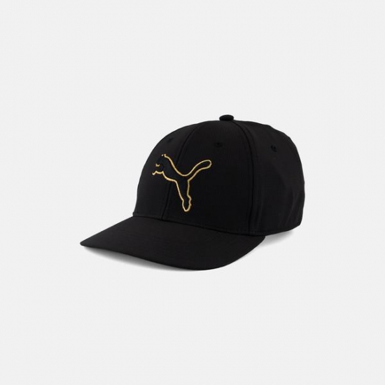 Men Evercat Dillion 20 Stretch Fit Cap, Black/Gold