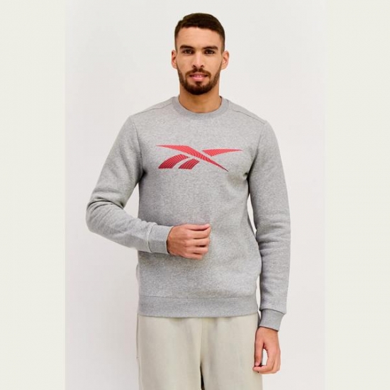 Reebok Men Sportswear Fit Brand Logo Long Sleeves Sweatshirt, Grey