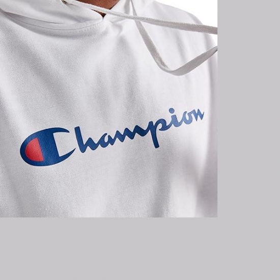Champion Men Hoodie, Powerblend, Fleece Men Hoodie